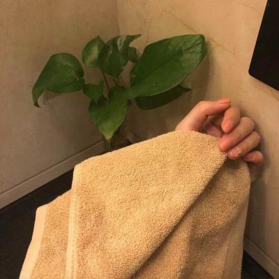 China Compressed Price Cheap 100% Cotton 500gsm 21s/2 White Face Towel For Hotels for sale