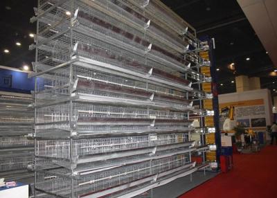 China South Africa Livestock Farming Equipment Galvanized Frame Modern Design for sale