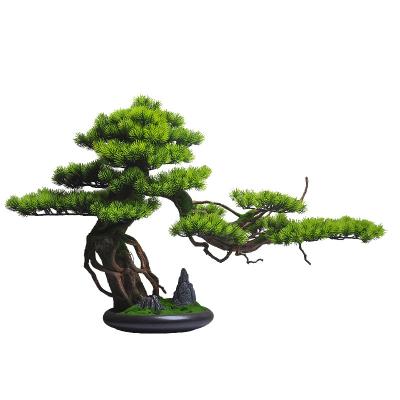 China Decorative Home Decor Artificial Potted Green Tree Faux Pine Bonsai Plant for sale