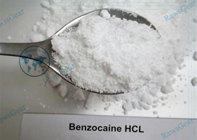 China Local Anesthetic Benzocaine hydrochloride Powder For Surgery and Treatment of Toothache for sale