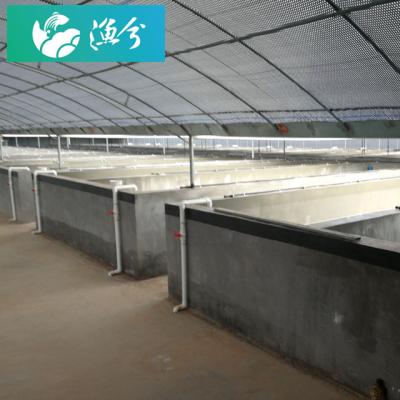 China 1000 square meters plant of CR-IS-1000' Aquatic Propagation System Circulating Water; Ž ¡ for sale