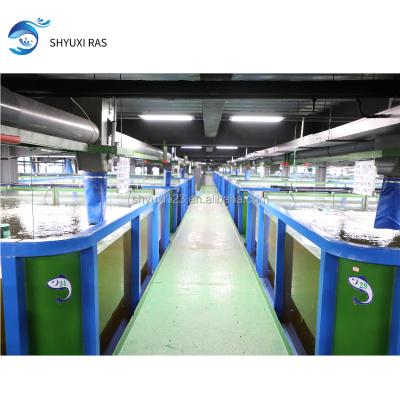 China Indoor circulating water breeding plant large-scale circulating water fish cultivation system design/circulating water aquaculture intelligent control system for sale