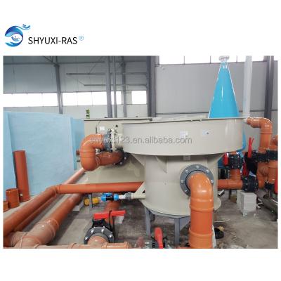 China Wooden Aquaculture Intelligent Control System Hotels Indoor Circulating Water Fish Farming Fish Farming 200T/H Seawater for sale