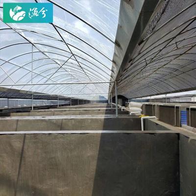 China Suitable for 1000 square meters of aquaculture area aquaculture equipment high quality indoor water treatment system 1000 square meters standard for sale