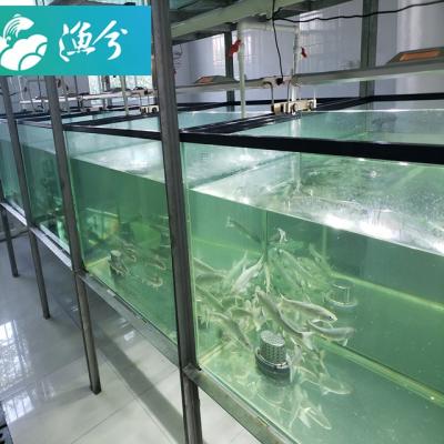 China Hotel seafood water retaining indoor circulation system/aquaculture fish farming laboratory/small indoor aquaculture fish farming indoor sea water for sale