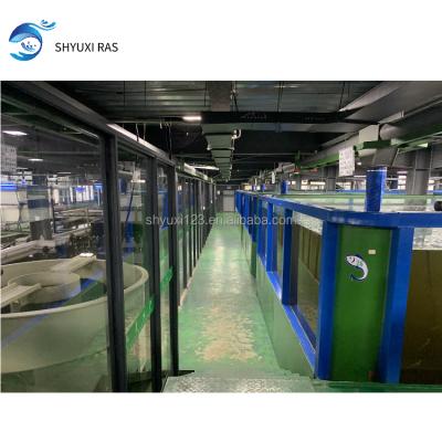 China Customized According to Customers Recycling Aquaculture System Complete Set Ras Indoor Tilapia Shrimp Fish Recycling Acqua Ras Aquaculture System Design for sale