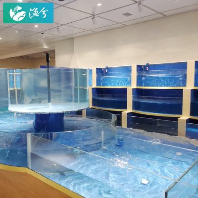 China Hotel seafood water retaining indoor circulation system/aquaculture fish farming laboratory/small indoor circulating water culture for sale