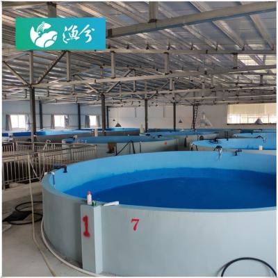 China Aquaculture System High Density Recycling Catfish Cultivating Indoor RAS CR-IS-500ã Ž ¡ for sale