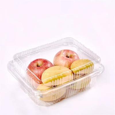 China Disposable Fruit Packaging Disposable Clamshell Food Container Clamshell Packaging Box for sale