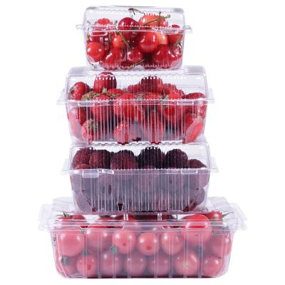 China Disposable Cherry Tomato Strawberry Blueberry Fruit Fruit Packaging Box Disposable Packaging Box for sale