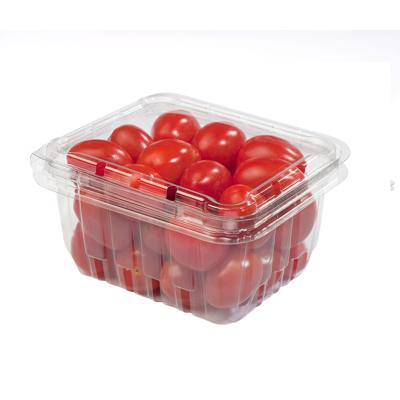 China Disposable Transparent Fruit Packaging Box Fruit Tray With Lid Clamshell Packaging for sale