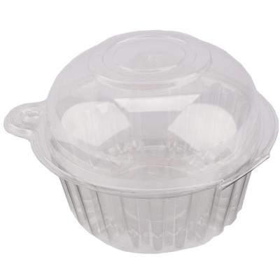 China Disposable Food Packaging Container Food Packaging Box Pet Vegetable Packaging Container for sale