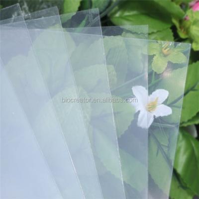 China Clear PET Wrapping Sheet for sale