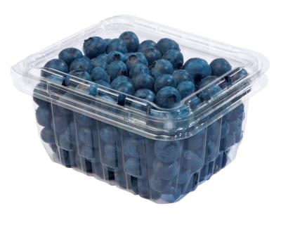 China Factory Direct Disposable 250g Food Container Blueberry Blister Plastic Packing Box With Free Sample for sale