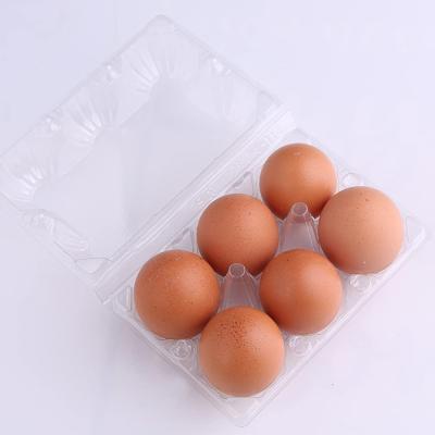 China Disposable Custom 6 Holes Blister Chicken Egg Boxes Packaging Plastic Egg Tray Containers Blister Tray For Egg for sale