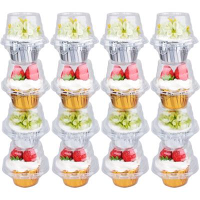 China Simple Disposable Cupcake Box Cupcake Compartment Container Cupcake Carrier Holder Stackable Deep Dome Clear Plastic Box for sale