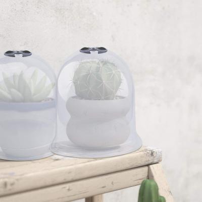 China Protect Plants From Weather Garden Bell Dome Mini Greenhouse Reusable Plastic Mini Protective Greenhouse for sale