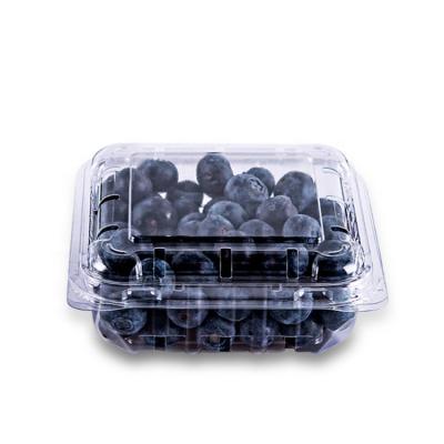 China Disposable Clamshell 125g Fruit Packing Container PET Plastic Blueberry Packaging Container for sale