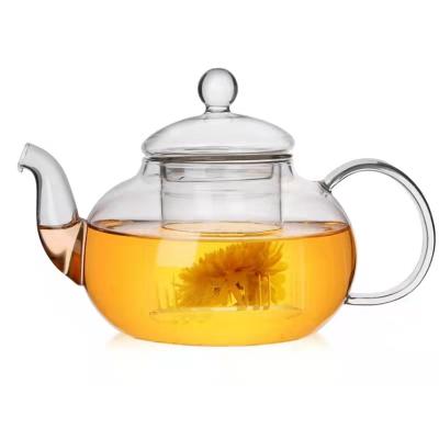 China Stored Flower Tea Pyrex Heat Resistant Glass Teapot With Infuser for sale