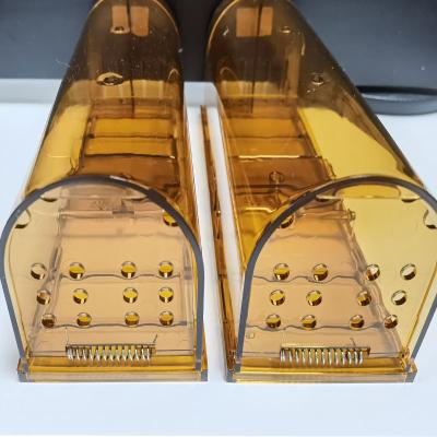 China Hot Selling Disposable Live Tunnel Mouse Trap Plastic Smart Humane Mouse Trap Cage For Human To Control Mice for sale