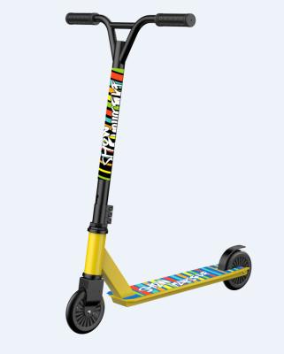 China Chinese Factory Youth Freestyle 2 Wheels Kick Scooter Pro Stunt Scooter For Adult Wholesale for sale