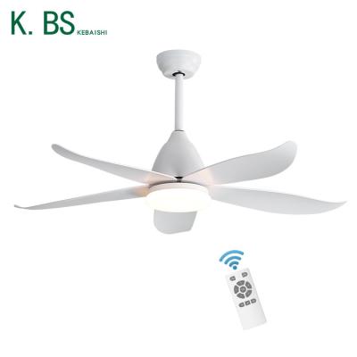 China Modern Factory Private Mold RF DC Motor Remote Timing Ceiling Fan With Light for sale