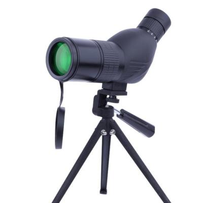 Cina Wholesale 12-36x Zoom Birdwatching Sky-watching Scope With Tripod in vendita