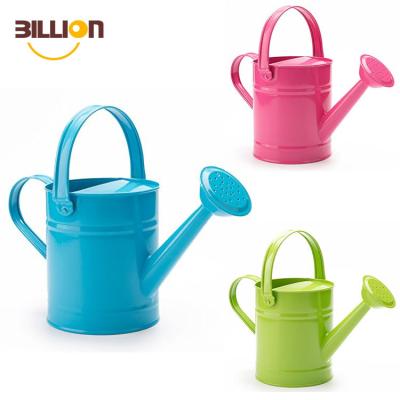 China Cheap Metal Watering Can Custom 1L Capacity Garden Watering Jug Mini Galvanized Long Spout Watering Can for sale