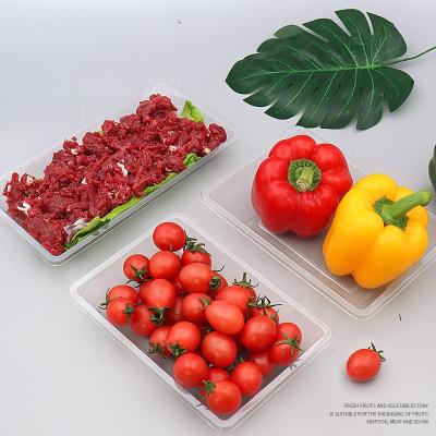 China Disposable Transparent Plastic Flat Bottom Tray Food Packaging Box Fruit and Vegetable Disposable Cool Packaging Box for sale