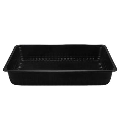 China PP Plastic Container Black Disposable Takeout Food Tray For Sale for sale