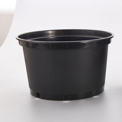 China New PP Plastic Virgin Black PP Gallon Jars In Good Quality for sale