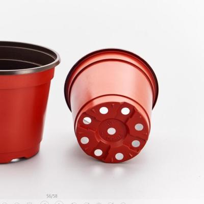 China pp plastic thermoforming flower nursery pots for sale