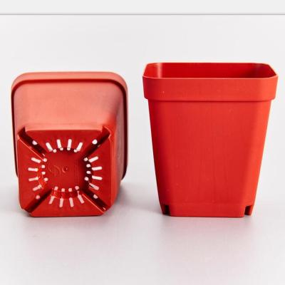 China Factory Plastic Plastic Square Succulent Pots for sale