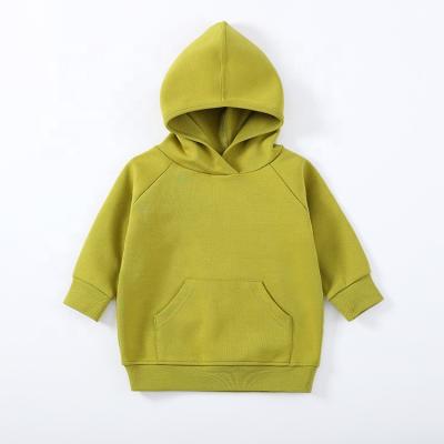 China Autumn Baby Infant Clothes Boys Cotton Long Sleeve Anti-pilling Casual Kids Clothing Toddler Hooded Sweatshirt for sale