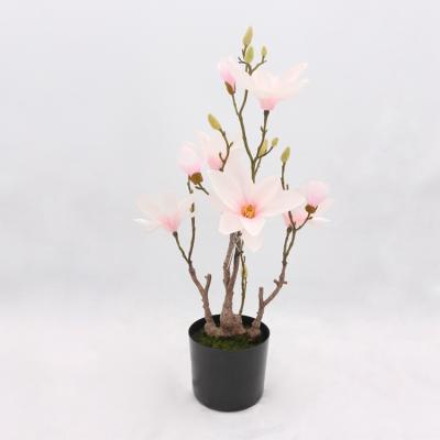 China New best flowers china magnolia eco-friendly plastic living room decoration with PE pot for sale