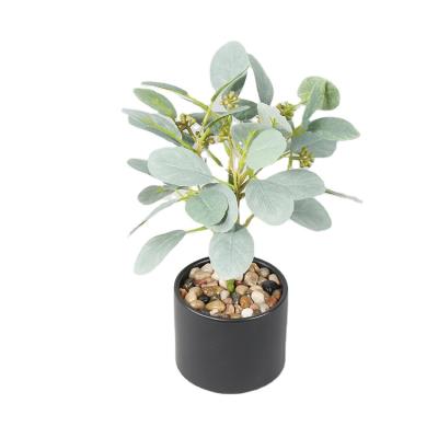 China Eco-friendly Home Decor Garden Bonsai Plant Artificial Eucalyptus Plants Preserved Evergreen Eucalyptus Plants for sale