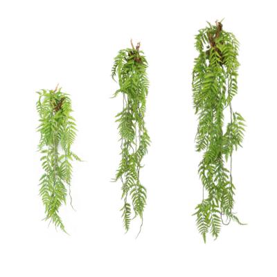 China Evergreen Artificial Hanging Hanging Grass Wedding Eco-friendly Wall Decoration Fern Grass for sale