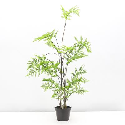 China Australian Small Home Realistic Artificial Bonsai Plant Potted Tree Fern for sale