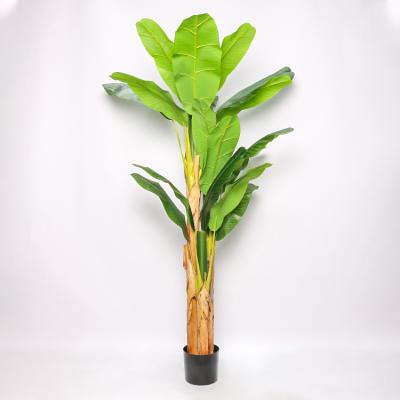 China Traditional Tall Banana Tree Large Size Artificial Decorative Plastic for sale