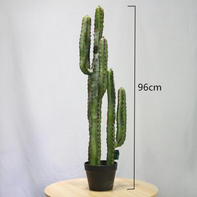 China New Style Saguaro Artificial Cactus Plant Indoor Plastic Cactus Buy at Toronto Cactus and Succulent Club for sale