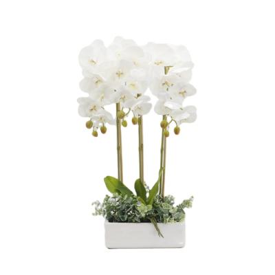 China 62CM PVC Orchid With Cement Pot Orchid Artificial Flowers Real Touch Latex Wholesale for sale