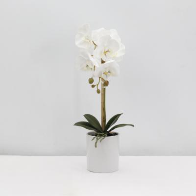 China 2021 High Quality Fashion Decorative Artificial Lifelike Plants 42 Cm Artificial Orchid Eco - Friendly for sale