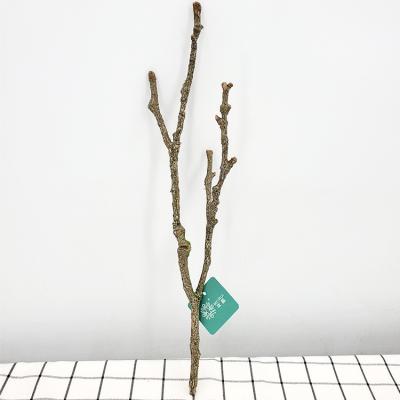 China 2020 China hot sale high simulation natural color 50.8cm artificial dry tree branch home office for sale