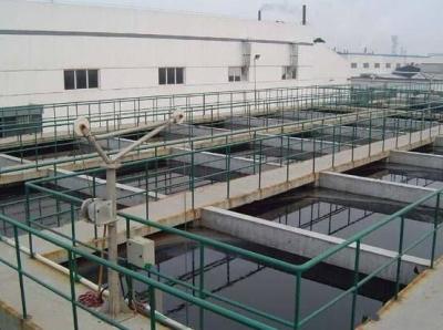 China Slaughter Industrial Water Treatment Systems Custom Color Easy Operation for sale