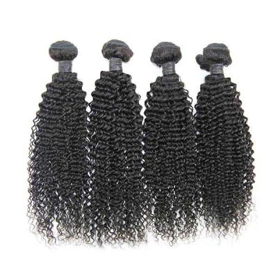 China Wholesale Curly Spot Supply HW05 Curly Hair Curtain Hair Bundles 100g 8-30inch Curly Curly Virgin Hair Weave for sale