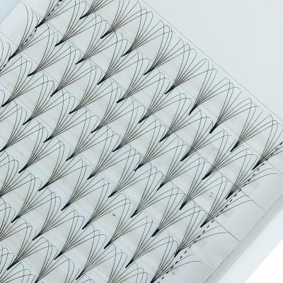 China Natural Eyelashes Superroot XL Tray Sharp Base Premade Eyelashes 5D Root Fans 10D 20D Volume Fans Long for sale