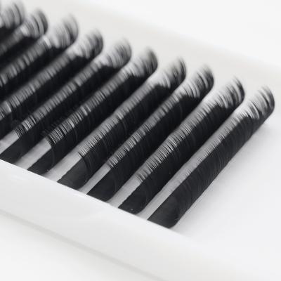 China Easy Faning Natural Long Private Label Lash Blooming Volume Eyelash Extensions for sale