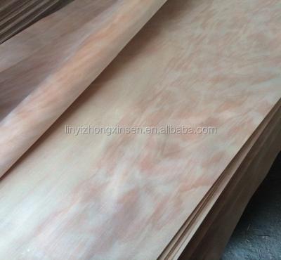 China furniture/decoration okoume face veneer/wrapping/oak veneer Sapele veneer for sale