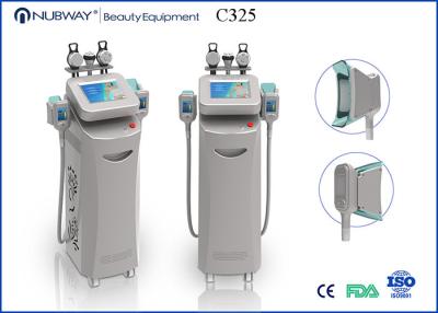 China Remoção de prata multifuncional da gordura de CoolSculpting da máquina do emagrecimento do RF Cryolipolysis da cavitação à venda