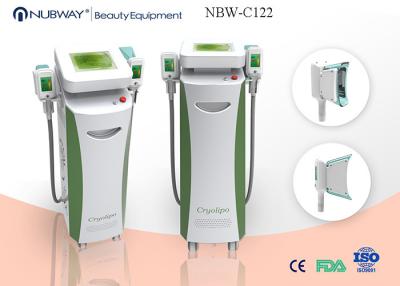 중국 기계 체중 감소 금성 뚱뚱한 얼기 체중을 줄이는 밝은 파란색 10 인치 스크린 Cryolipolysis 판매용